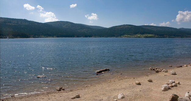 Krajobraz nad wodą Schluchsee