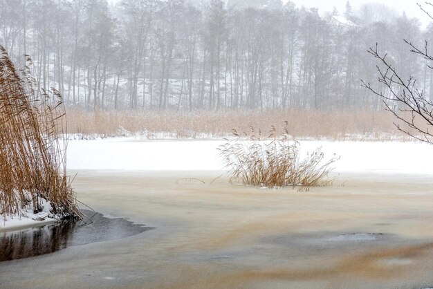 Krajobraz Natura Zima Pół zamarznięta rzeka pokryte śniegiem drzewa