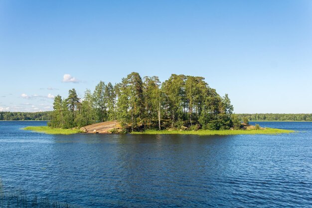 krajobraz naturalny mała leśna kamienna wyspa z brzegami trzciny