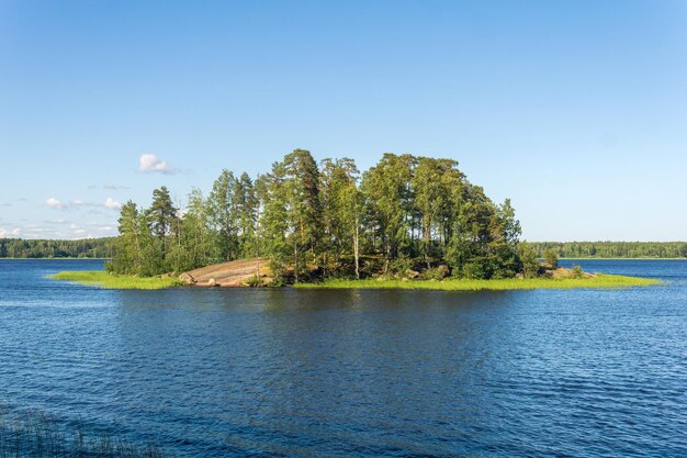 krajobraz naturalny mała leśna kamienna wyspa z brzegami trzciny