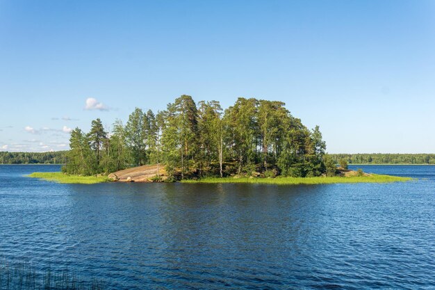 krajobraz naturalny mała leśna kamienna wyspa z brzegami trzciny