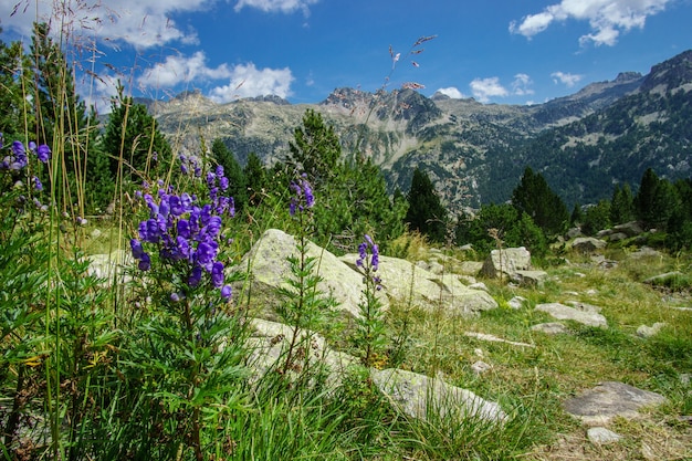 Krajobraz Naturalny widok na góry Pireneje na lato, aragonia, hiszpania