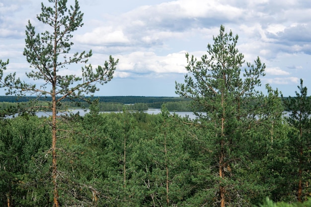 krajobraz naturalny z lasami i jeziorami widok z powietrza