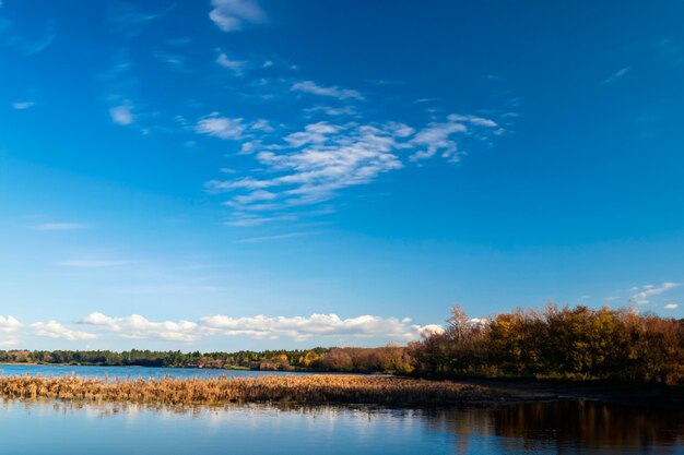 Krajobraz niebieskiego jeziora pośród roślinności