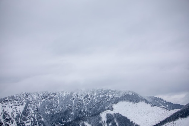 Krajobraz panoramiczny widok na ośnieżone zimowe tatry