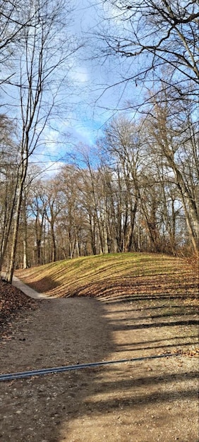 Krajobraz parku wiosennego