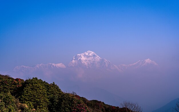 Zdjęcie krajobraz pasma górskiego annapurna w nepalu