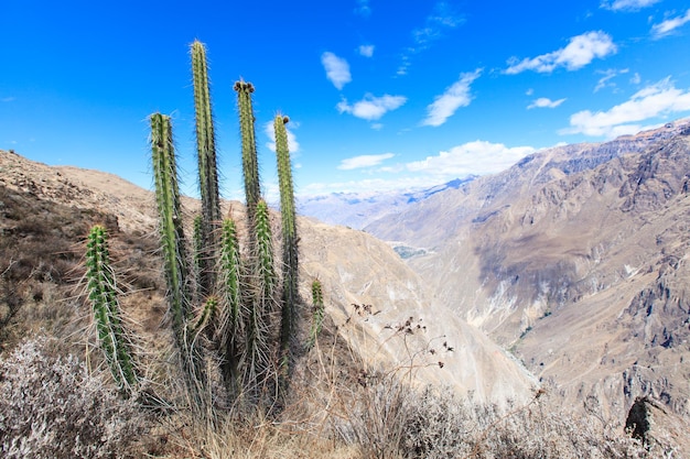 Krajobraz Peru