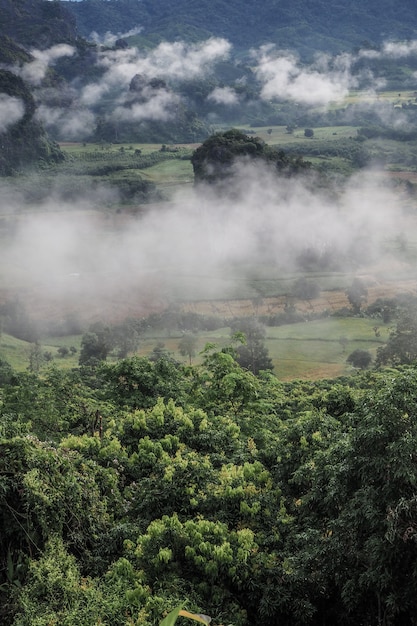 Krajobraz Phu Lanka Lasu Halny Park W Phayao Prowinci Tajlandia