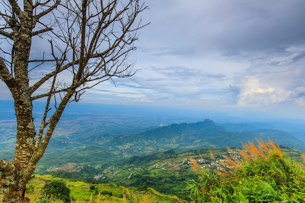 Krajobraz Phü tub-berk Phetchabun prowincja, Tajlandia.