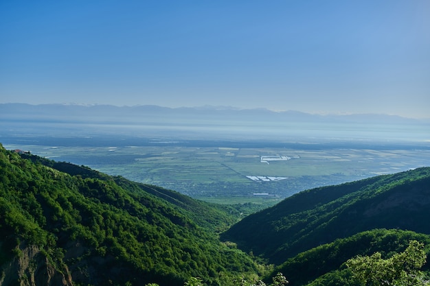Krajobraz pięknej zielonej doliny Alazani w regionie Kacheti, Gruzja