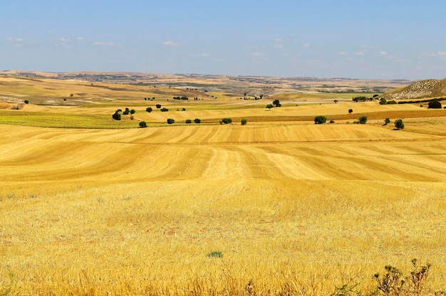 Krajobraz pól La Mancha w Cuenca