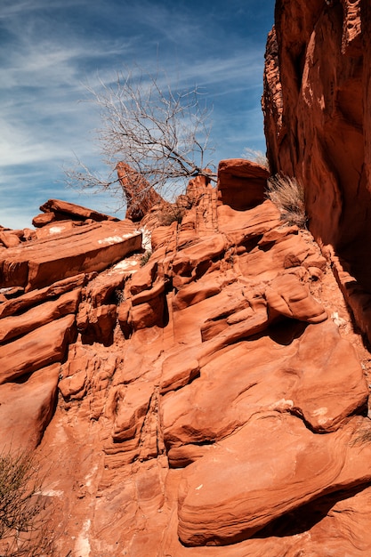 Krajobraz Pomarańczowe Rockowe Formacje Przy Valley Of Fire State Park W Południowym Nevadzie