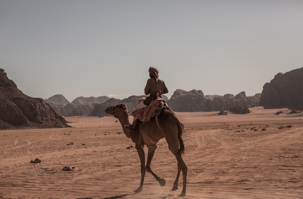 Krajobraz pustyni Wadi Rum w Jordanii. Koncepcja podróży.Camel