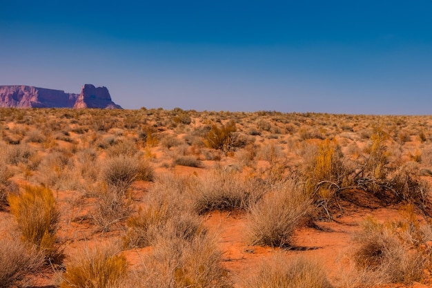 Zdjęcie krajobraz pustynny w tle