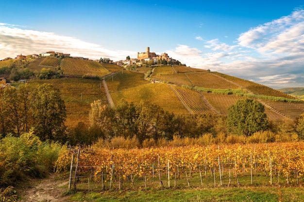 Zdjęcie krajobraz regionu winiarskiego barolo
