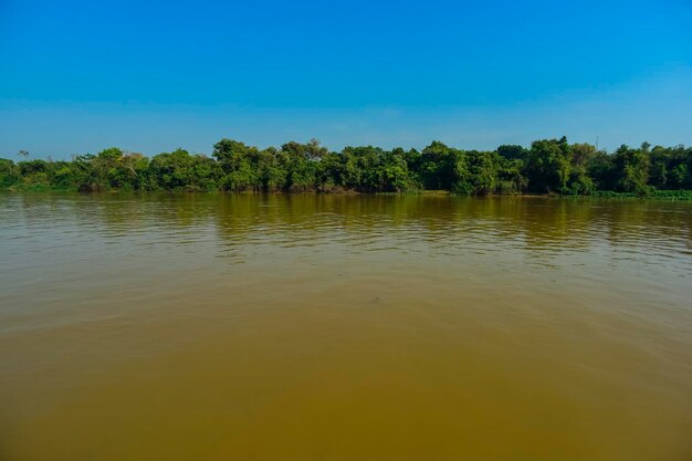Krajobraz rzeczny i dżungla Pantanal Brazylia