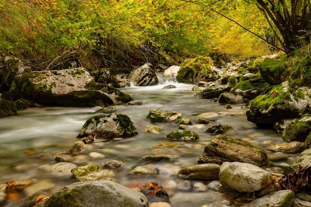 Krajobraz rzeki rio duje w asturii