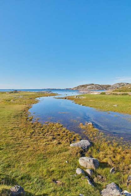 Krajobraz rzeki w zielonych bagnach na tle błękitnego horyzontu z kopią Spokojne bagno nad morzem latem na zewnątrz z dziką trawą rosnącą w Norwegii Spokojna i zaciszna malownicza przyroda