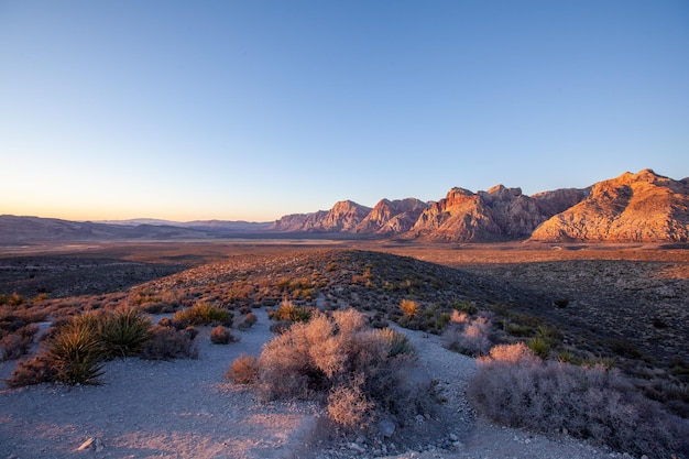 Zdjęcie krajobraz skalistej górskiej pustyni z suchymi krzewami i wysokimi kanionami pod światłem słonecznym