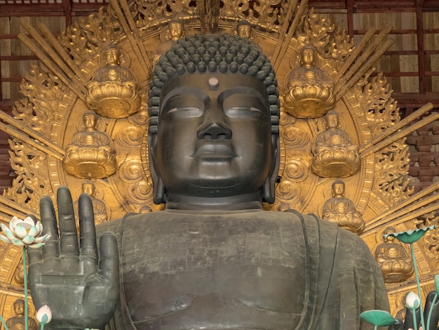 Krajobraz świątyni Todai-ji w Nara, Japonia.