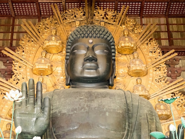 Krajobraz świątyni Todai-ji w Nara, Japonia.