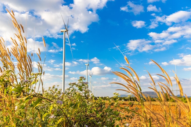 Krajobraz Turbiny Wiatrowej Ułożone W Rzędzie Na Górze Na Tle Błękitnego Nieba I Kwiat Jest Pierwszym Planem W Dzielnicy Sikhio, Nakhon Ratchasima, Tajlandia