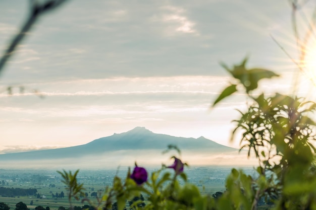 Zdjęcie krajobraz u podnóża wulkanu malinche w meksyku malintzin w całej swojej wspaniałości