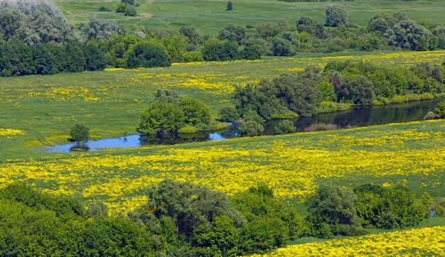 Krajobraz w dolinie rzeki Don w centralnej Rosji. Widok z góry na wiosenny las przybrzeżny i staw.