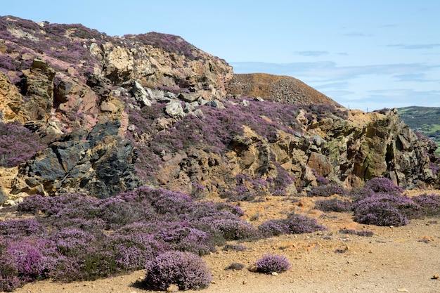 Krajobraz w kopalni miedzi Parys Mountain, Amlwch, Anglesey, Walia, Wielka Brytania