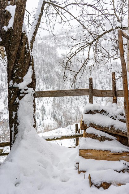 Krajobraz w mroźny zimowy poranek Miejsce lokalizacji Giresun Highlands Morze Czarne Turcja