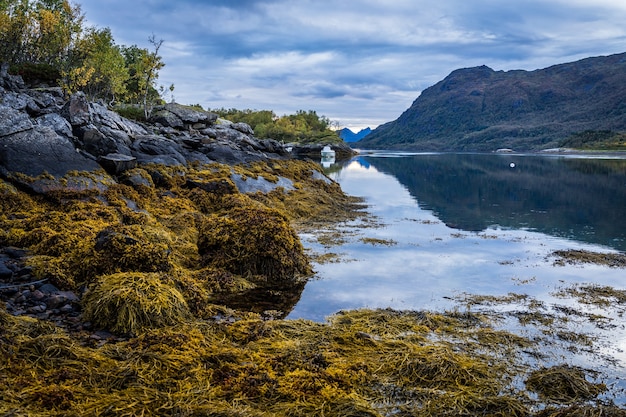 Krajobraz w norweskim fiord z morzem i górami, Lodingen, Norwegia