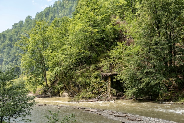 Krajobraz w Vaser Valley, Bukowiny, Pociąg parowy Mocanita, Rumunia