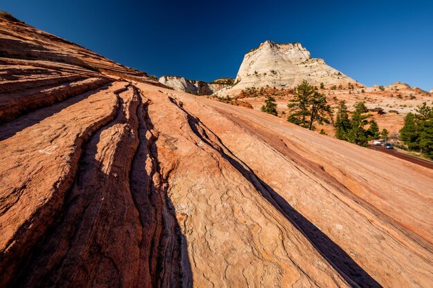 Krajobraz w Zion National Park