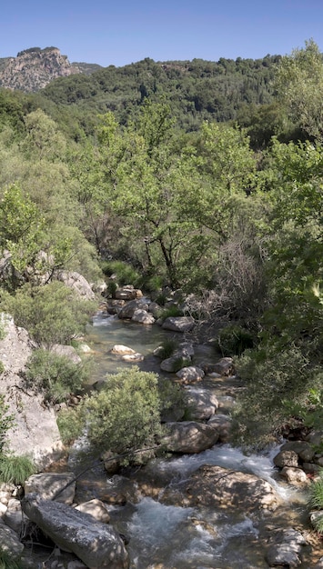 Krajobraz Widok na górską rzekę Lyusios w porannej dzielnicy Arcadia Peloponez Grecja w słoneczny letni dzień
