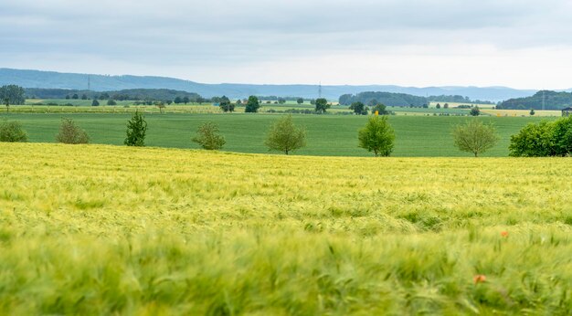 Krajobraz wiejski w Hohenlohe