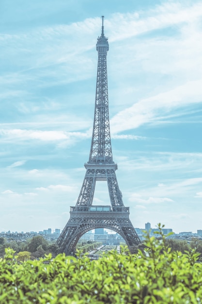 Krajobraz Wieży Eiffla W Paryżu