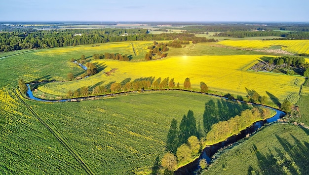 Krajobraz wiosennego poranka Spokojna rzeka na kwitnących łąkach Widok z lotu ptaka na tereny wiejskie z góry Rolnicze żółtozielone pola rzepiku Scena z kwiatami rzepaku