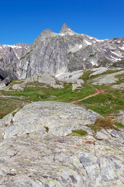 Krajobraz Włoskich Alpejskich Gór Latem