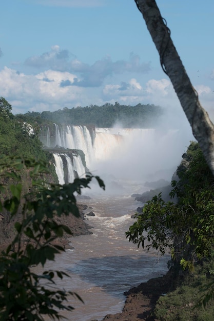 Krajobraz wodospadu Iguazu