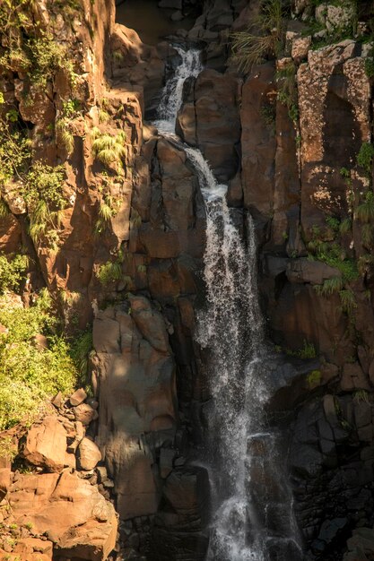 Krajobraz wodospadu Iguazu