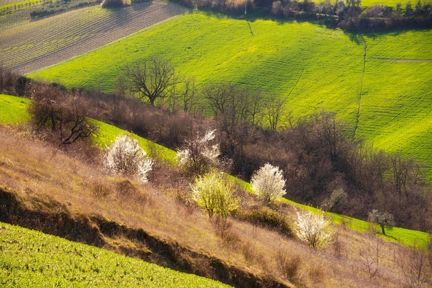 Krajobraz wsi zielone pola uprawne wśród wzgórz