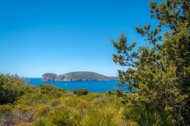 Krajobraz wybrzeża Capo Caccia na Sardynii