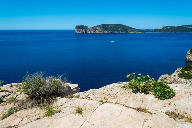 Krajobraz wybrzeża Capo Caccia na Sardynii