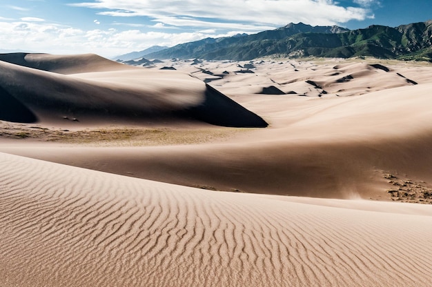 Krajobraz Wydm Na Pustyni Parku Narodowego Great Sand Dunes