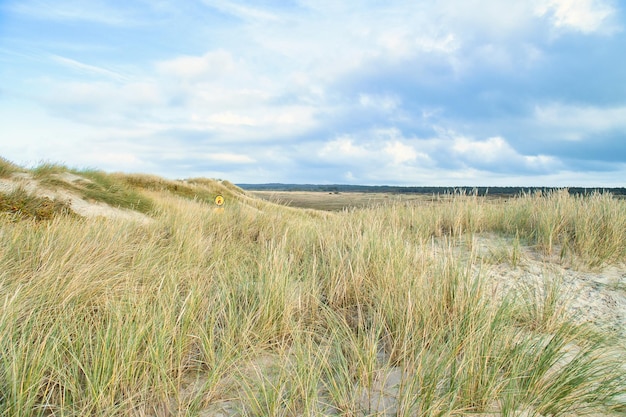 Krajobraz wydm w Danii nad morzem Wycieczka nad Morze Bałtyckie Wakacje na plaży