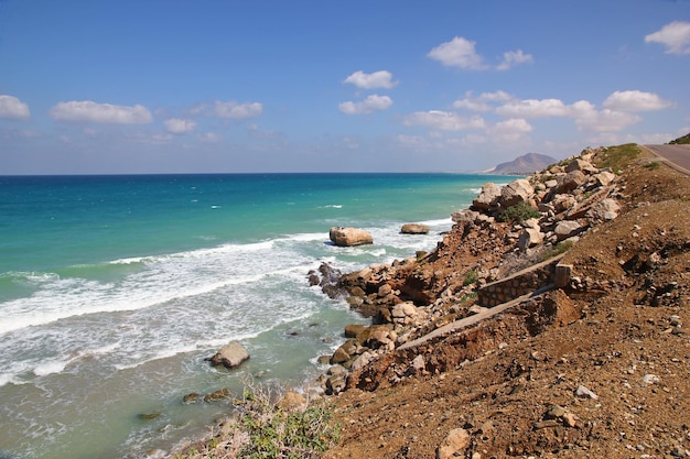 Krajobraz wyspy Sokotra Ocean Indyjski Jemen