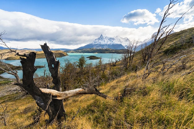 Krajobraz z Lago del Pehoe w parku narodowym Torres del Paine Patagonia Chile