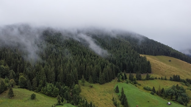 Krajobraz z lotu ptaka w przyrodzie, lesie i wzgórzu