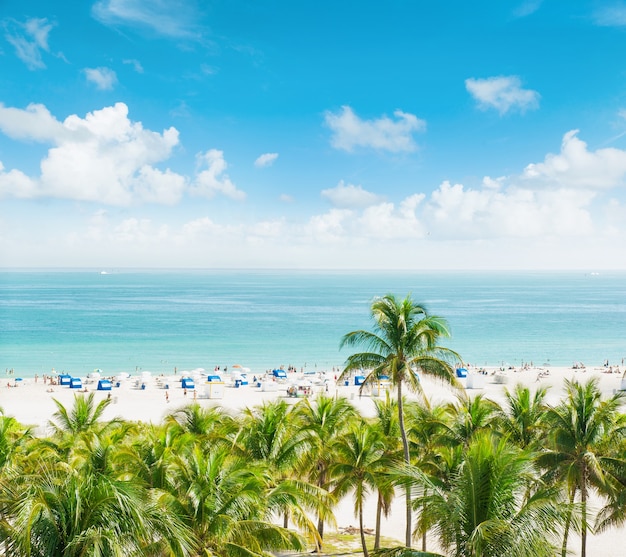 Krajobraz Z Niebieskim Niebem, Turkusową Wodą Morską I Palmami. Publiczna Plaża W Miami Beach, Ocean Drive, Morze Karaibskie
